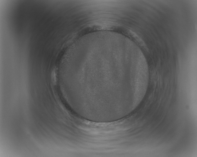 X0000071340026200607071710