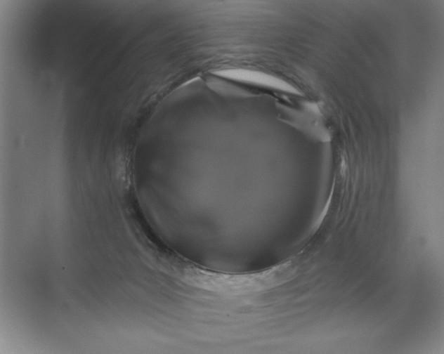 X0000071340031200607071709