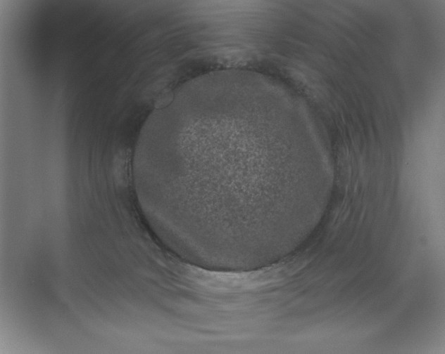 X0000071340034200607071709