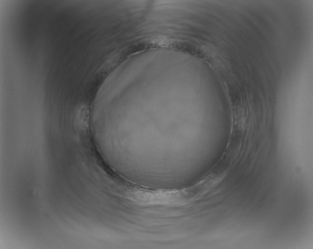 X0000071340036200607071709