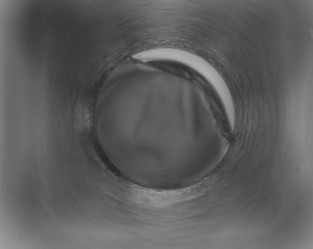 X0000071340039200607071709