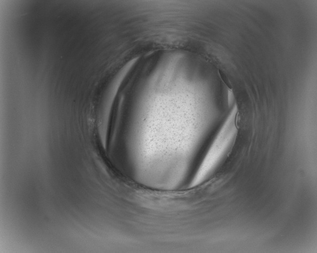 X0000071340040200607071709