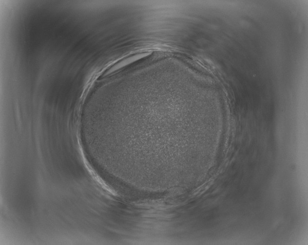 X0000071340049200607071708