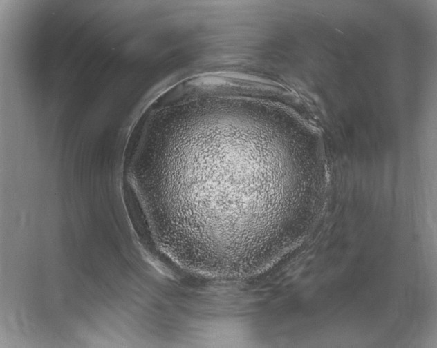 X0000071340051200607071708