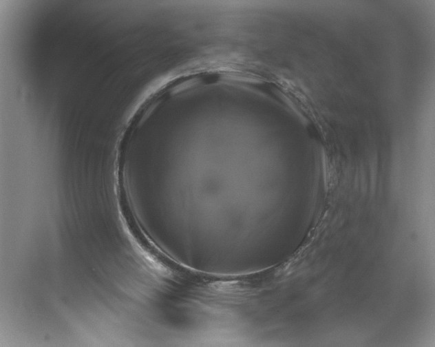 X0000071340054200607071708