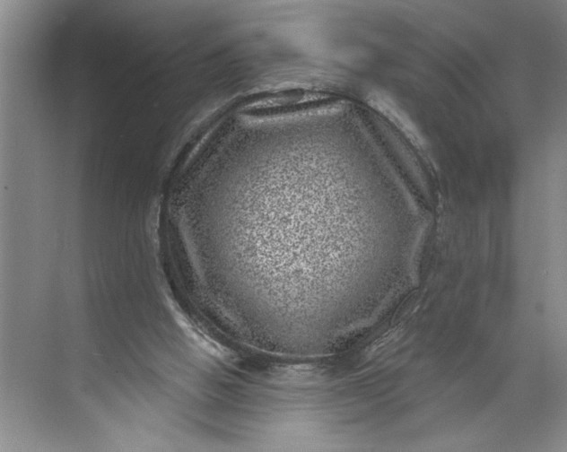 X0000071340058200607071709