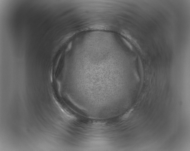 X0000071340062200607071709