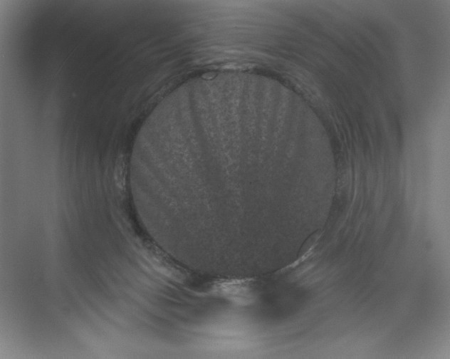 X0000071340078200607071709
