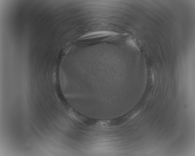 X0000071340080200607071709