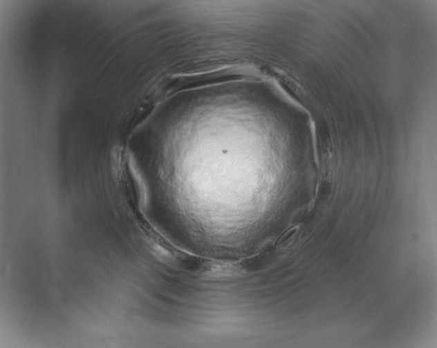 X0000071340093200607071709