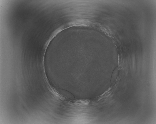 X0000071340099200607071708