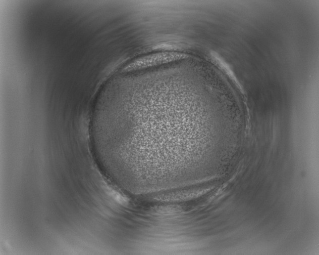 X0000071340106200607071708
