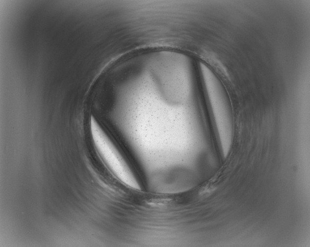 X0000071340108200607071708