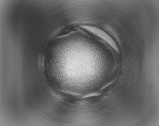 X0000071340115200607071708