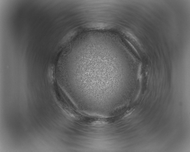 X0000071340119200607071708