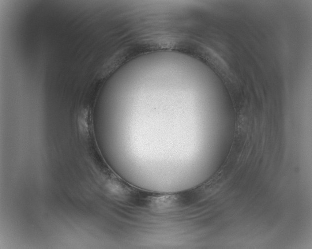 X0000071340122200607071708