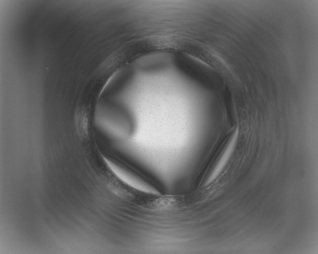 X0000071340124200607071708