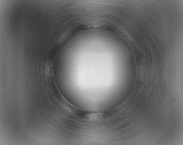 X0000071340126200607071708