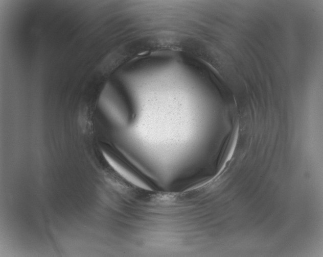X0000071340140200607071708