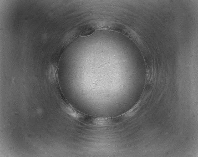 X0000071340142200607071708