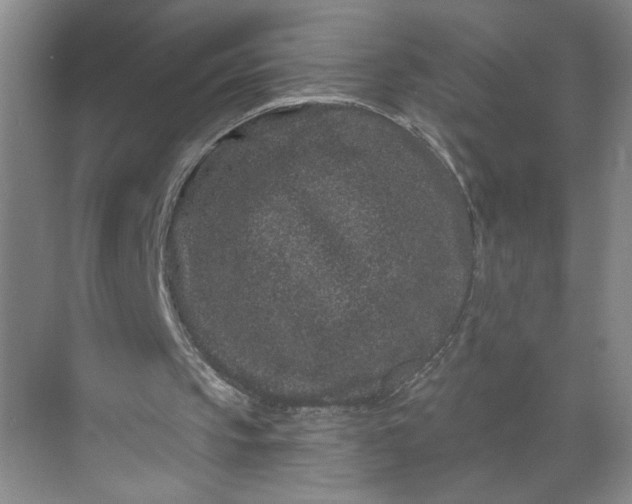 X0000071340145200607071707