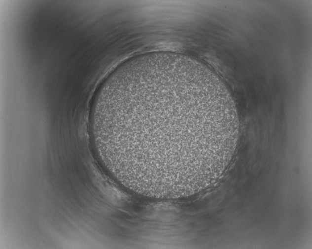 X0000071340146200607071707
