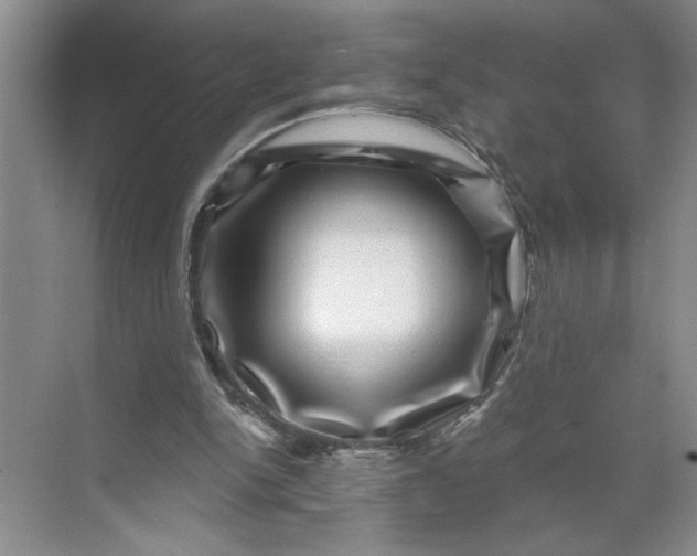 X0000071340150200607071707