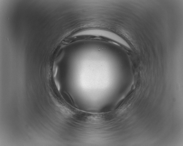 X0000071340164200607071707