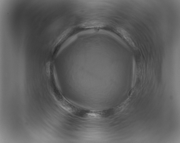 X0000071340167200607071707