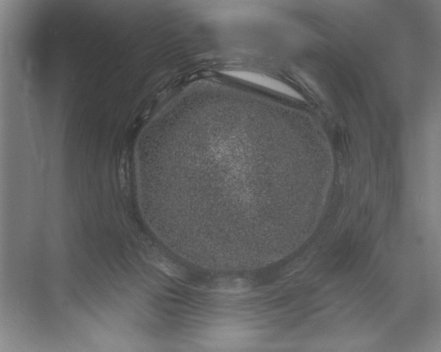 X0000071340169200607071707