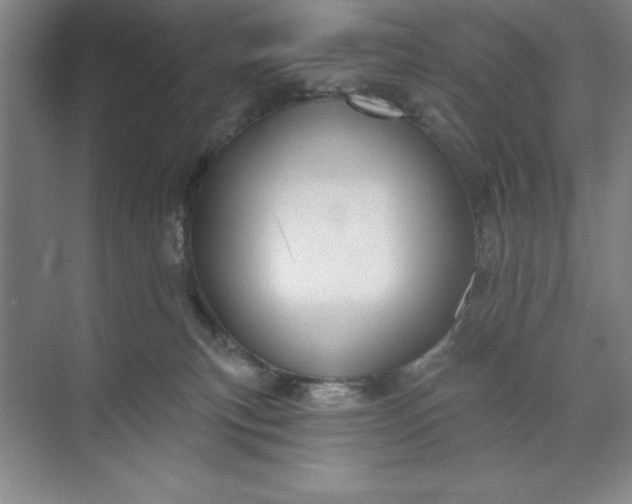 X0000071340183200607071707