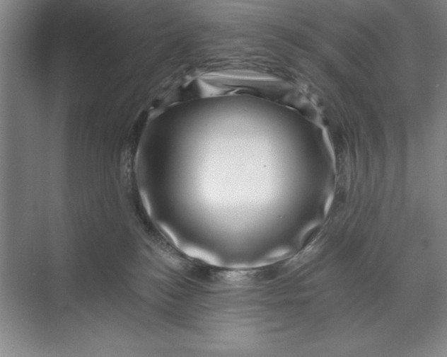 X0000071340184200607071707