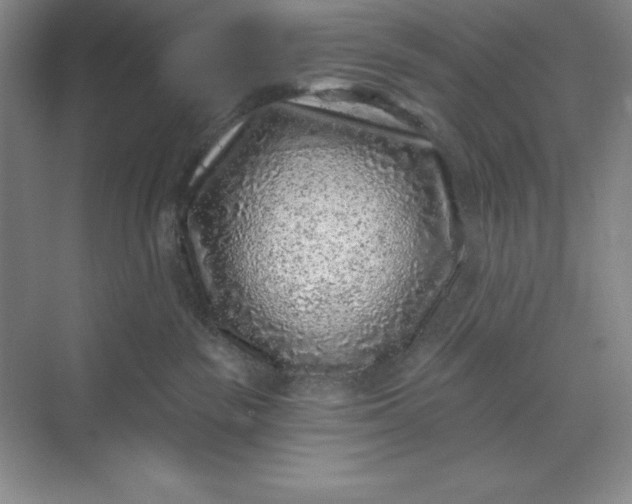 X0000071340189200607071708