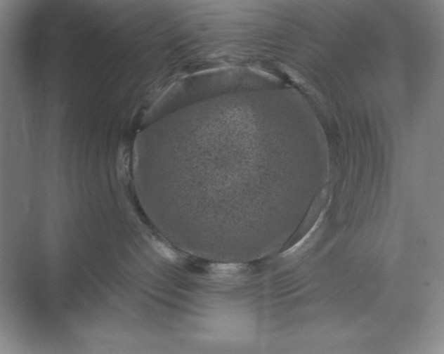 X0000071340192200607071708