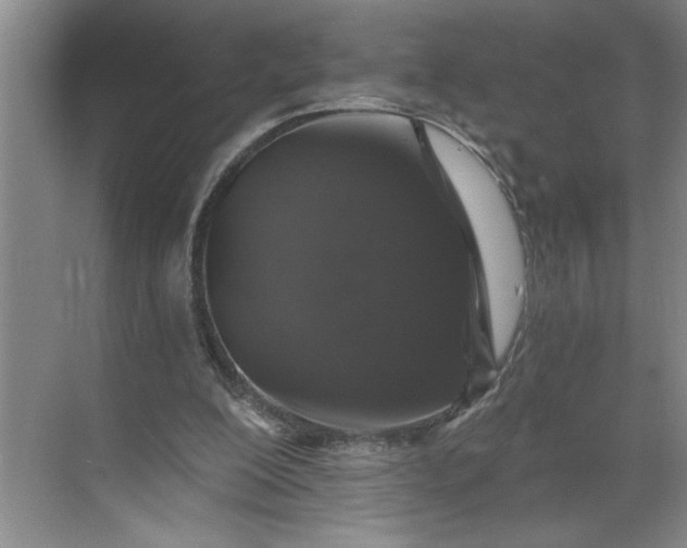X0000071340200200607071707