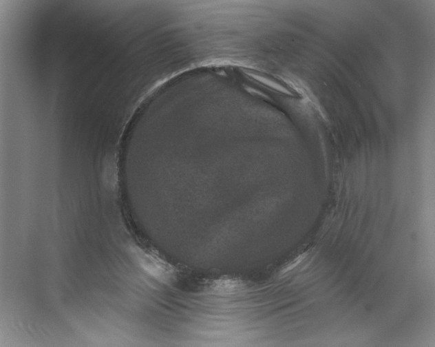 X0000071340204200607071707