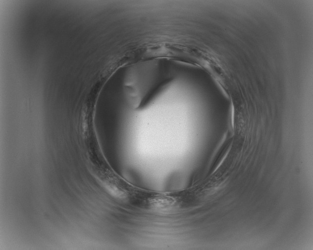 X0000071340215200607071706