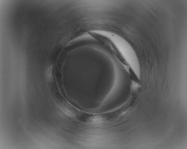 X0000071340219200607071706