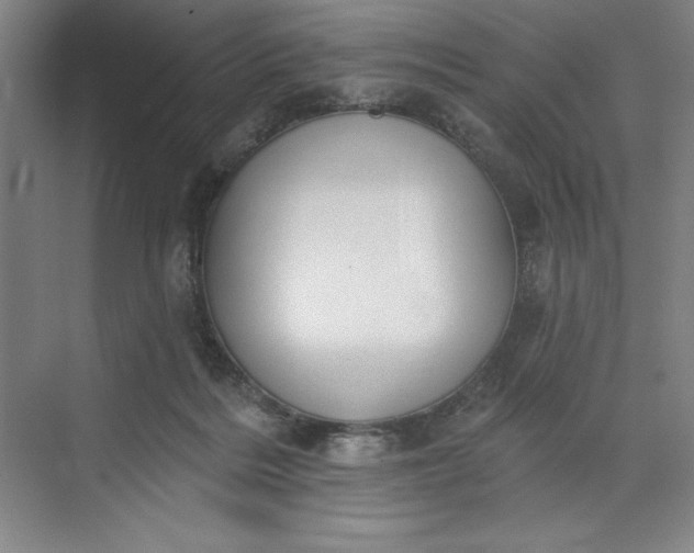 X0000071340220200607071706
