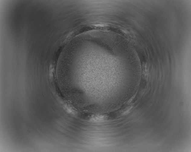 X0000071340235200607071706