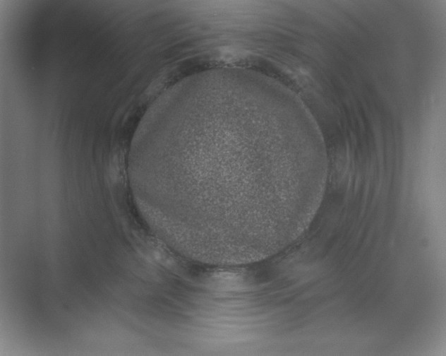 X0000071340236200607071706