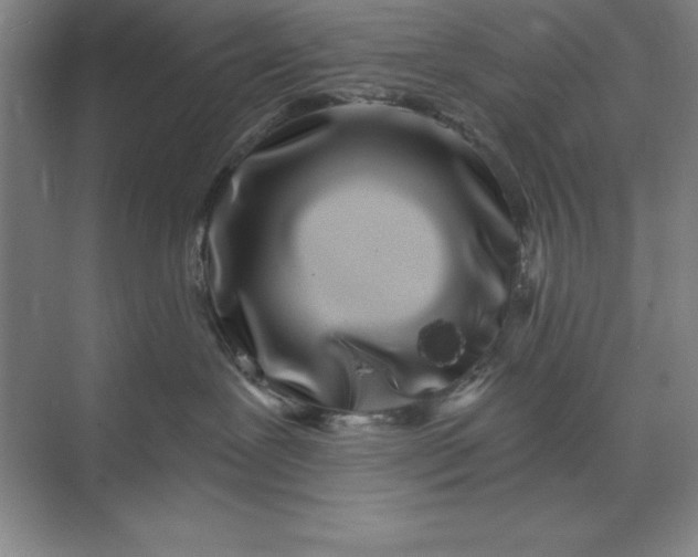 X0000071340239200607071706