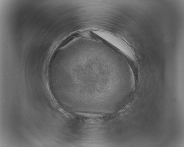 X0000071340241200607071705