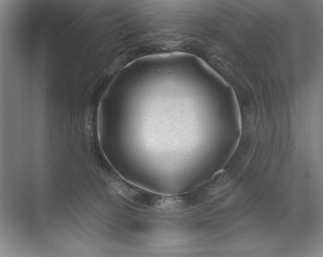 X0000071340274200607071706
