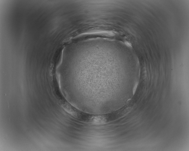 X0000071340275200607071706
