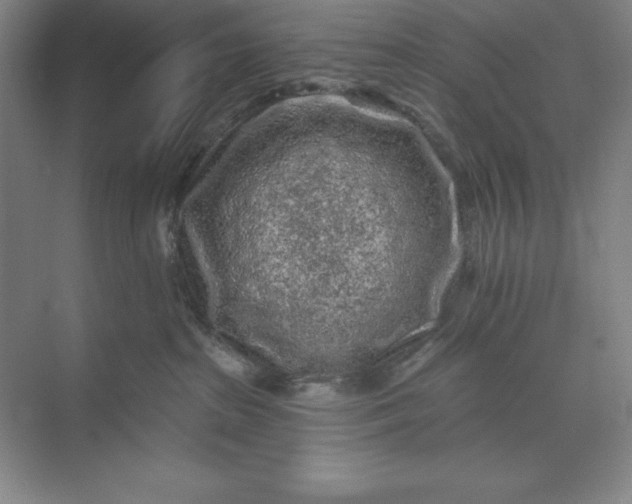 X0000071340285200607071706