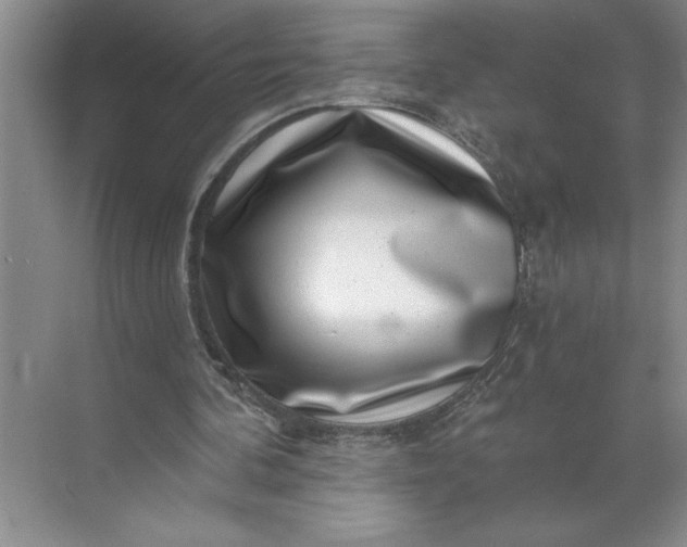 X0000071340292200607071705
