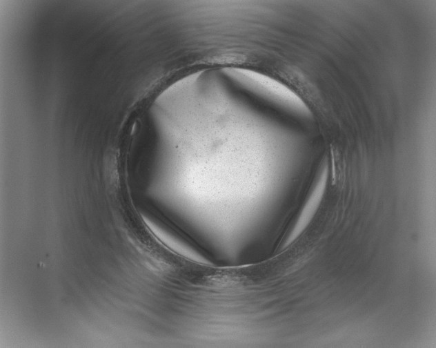 X0000071340300200607071705