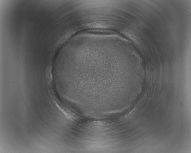 X0000071340302200607071705