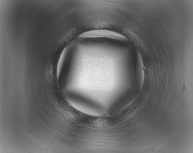 X0000071340308200607071705